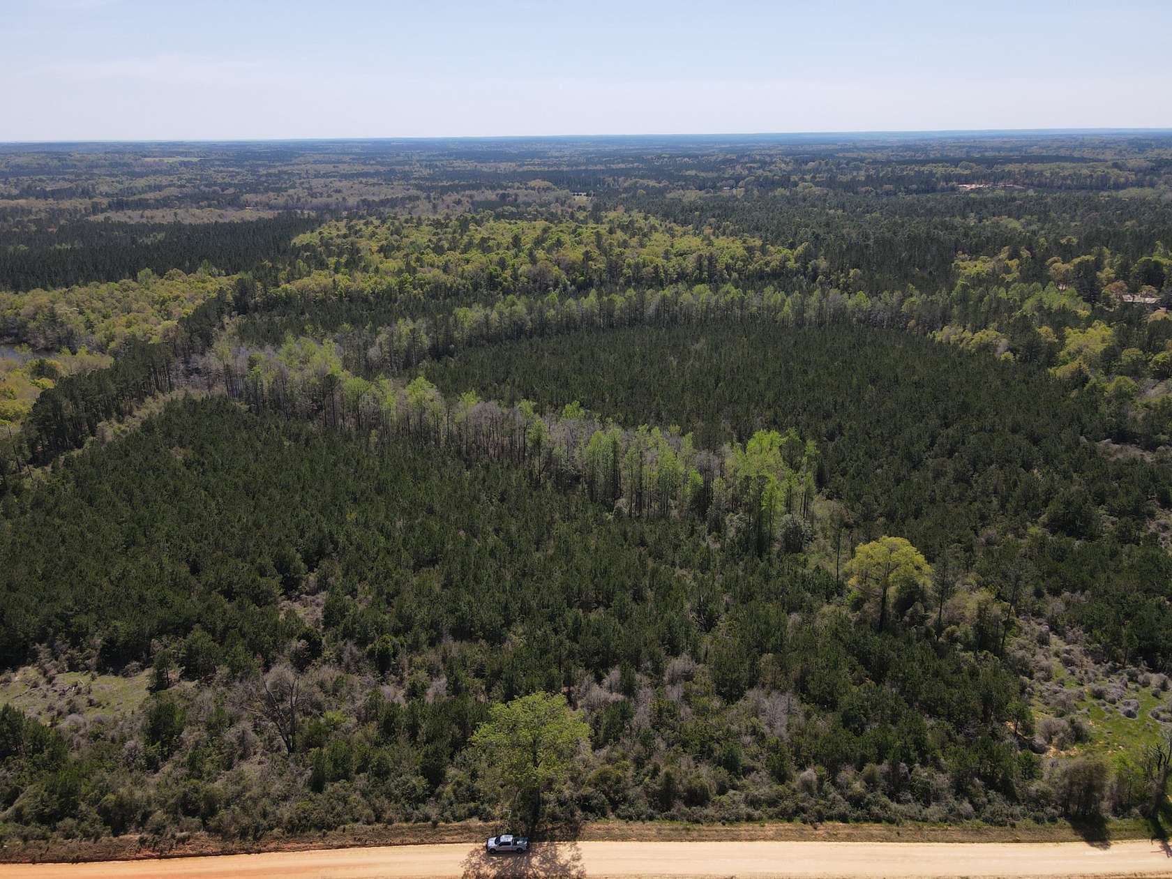 46 Acres of Land for Sale in Andalusia, Alabama