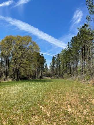 68 Acres of Land for Sale in Andalusia, Alabama