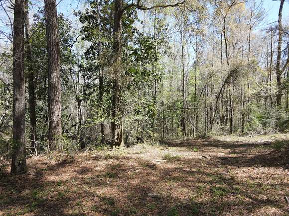 87 Acres of Recreational Land for Sale in Andalusia, Alabama