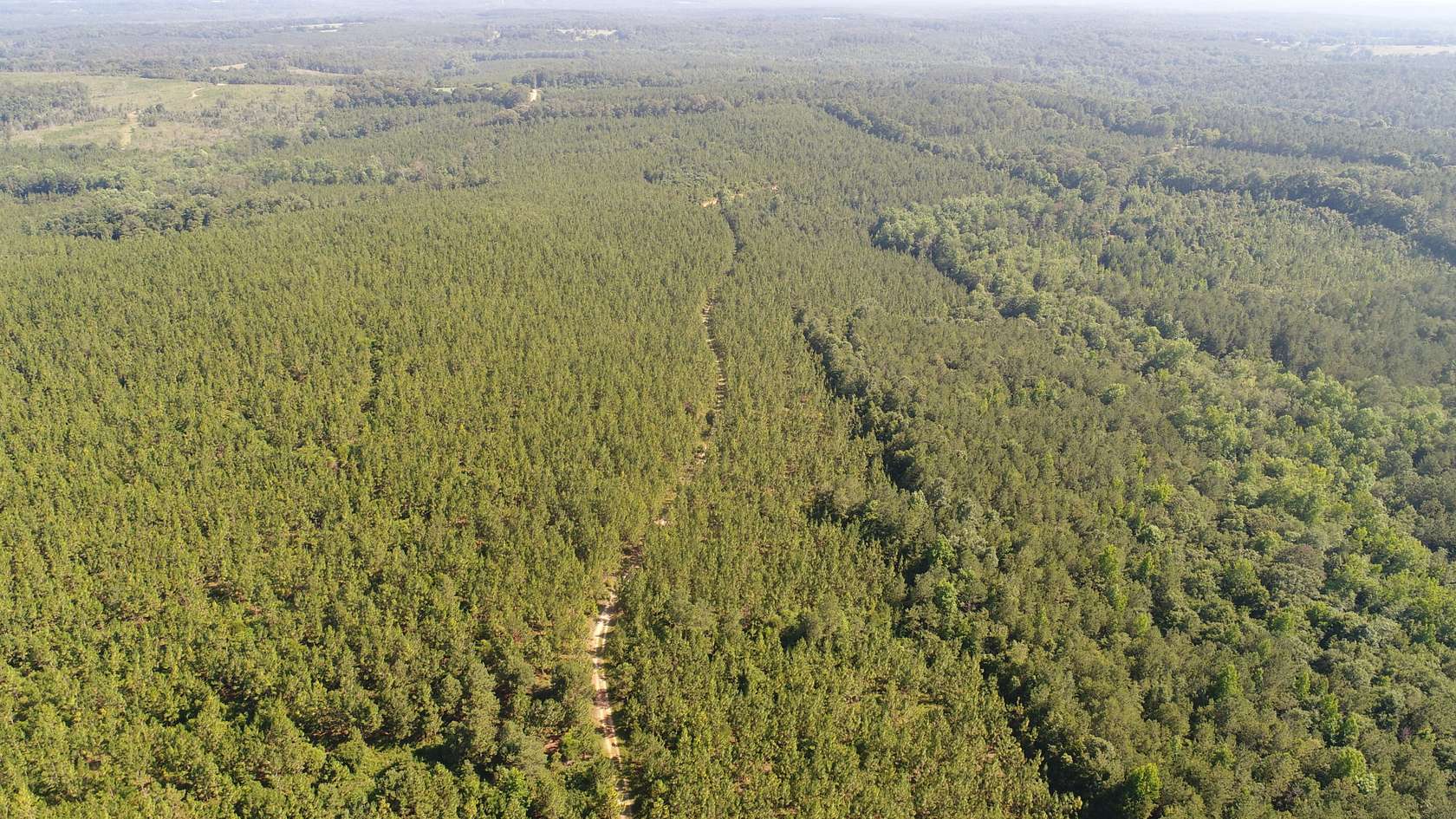 153 Acres of Land for Sale in Petrey, Alabama