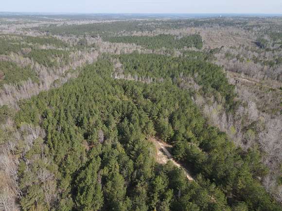 120 Acres of Recreational Land for Sale in Oak Hill, Alabama