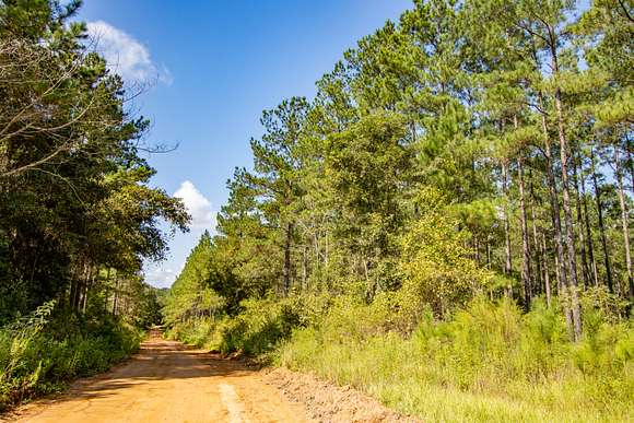 16.15 Acres of Land for Sale in Graceville, Florida