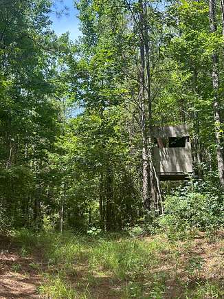 78 Acres of Recreational Land for Sale in Carrollton, Alabama