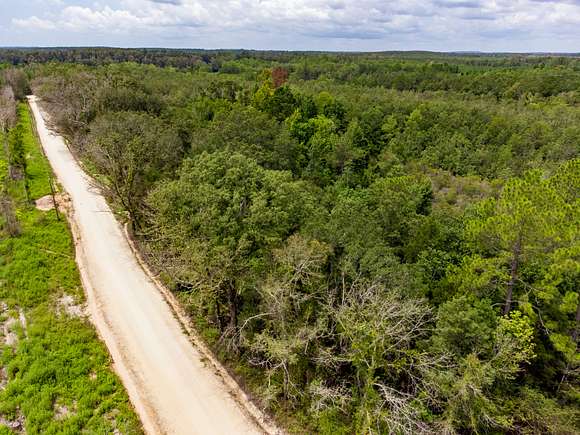 40 Acres of Land for Sale in Bonifay, Florida