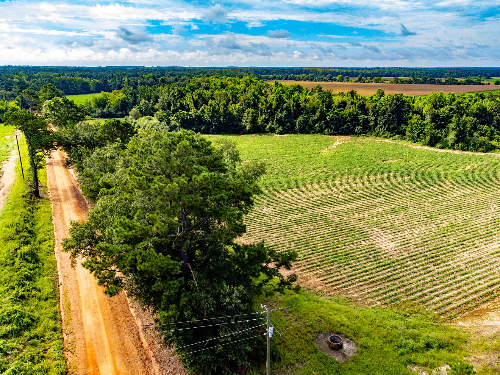 7.7 Acres of Land for Sale in Ashford, Alabama