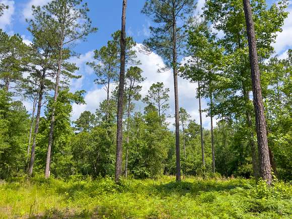 32.9 Acres of Recreational Land for Sale in Monticello, Florida