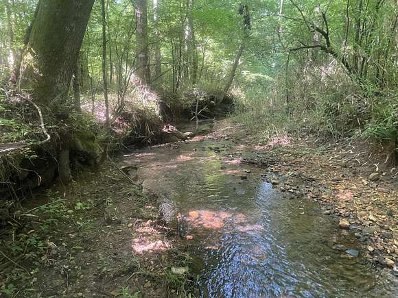 57 Acres of Recreational Land for Sale in Wadley, Alabama