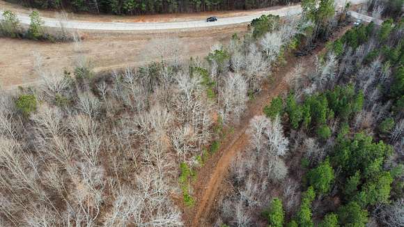 11 Acres of Agricultural Land for Sale in Opelika, Alabama