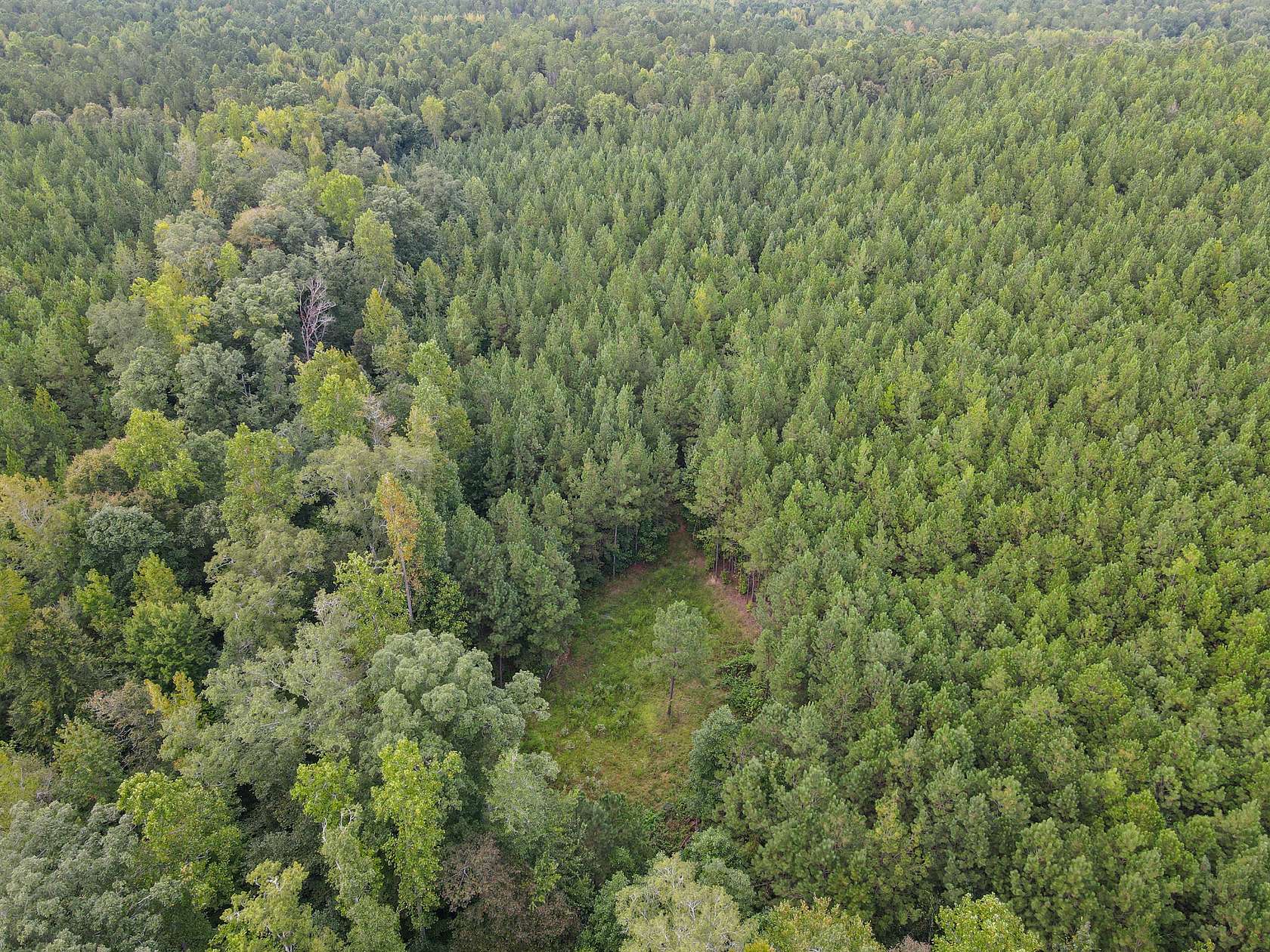 68 Acres of Recreational Land for Sale in Goodwater, Alabama