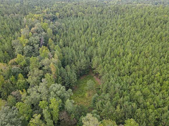 68 Acres of Recreational Land for Sale in Goodwater, Alabama