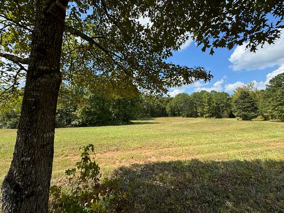 29 Acres of Land for Sale in Waverly, Alabama