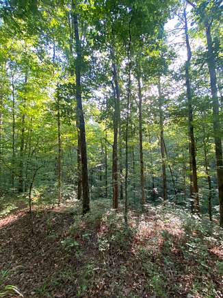 7 Acres of Residential Land for Sale in Wedowee, Alabama