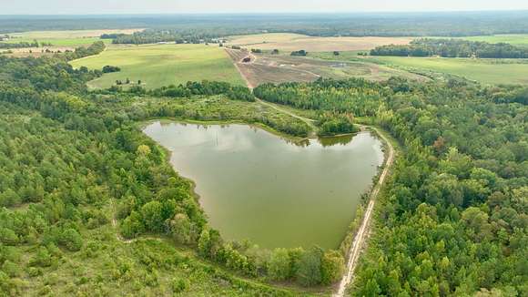 970 Acres of Land for Sale in Wrightsville, Georgia