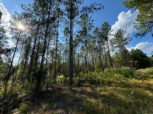 24.74 Acres of Recreational Land for Sale in Camp Hill, Alabama