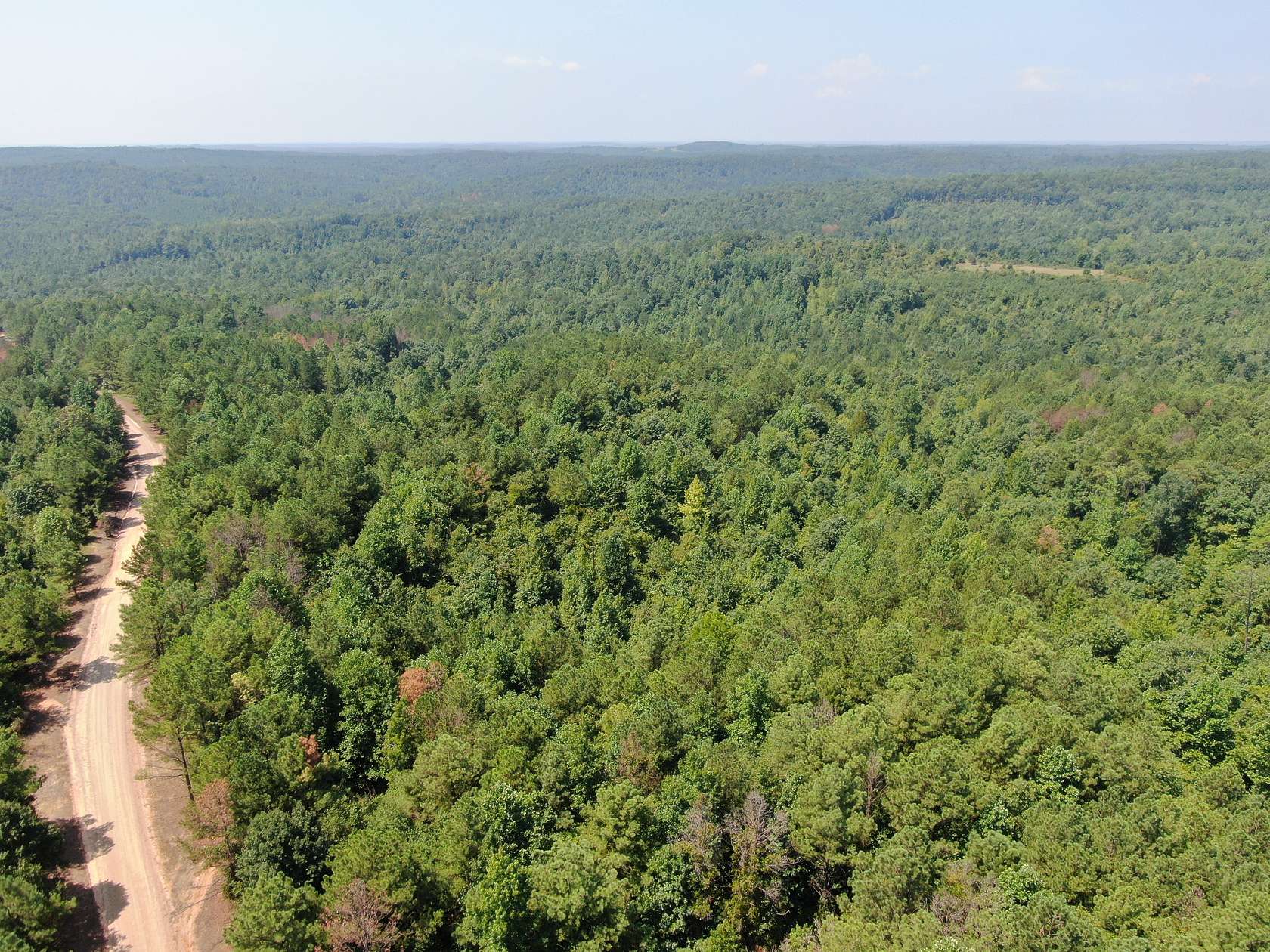 32.5 Acres of Recreational Land for Sale in Moores Bridge, Alabama