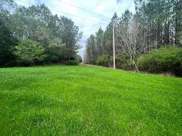 52.2 Acres of Recreational Land for Sale in Greenville, Alabama