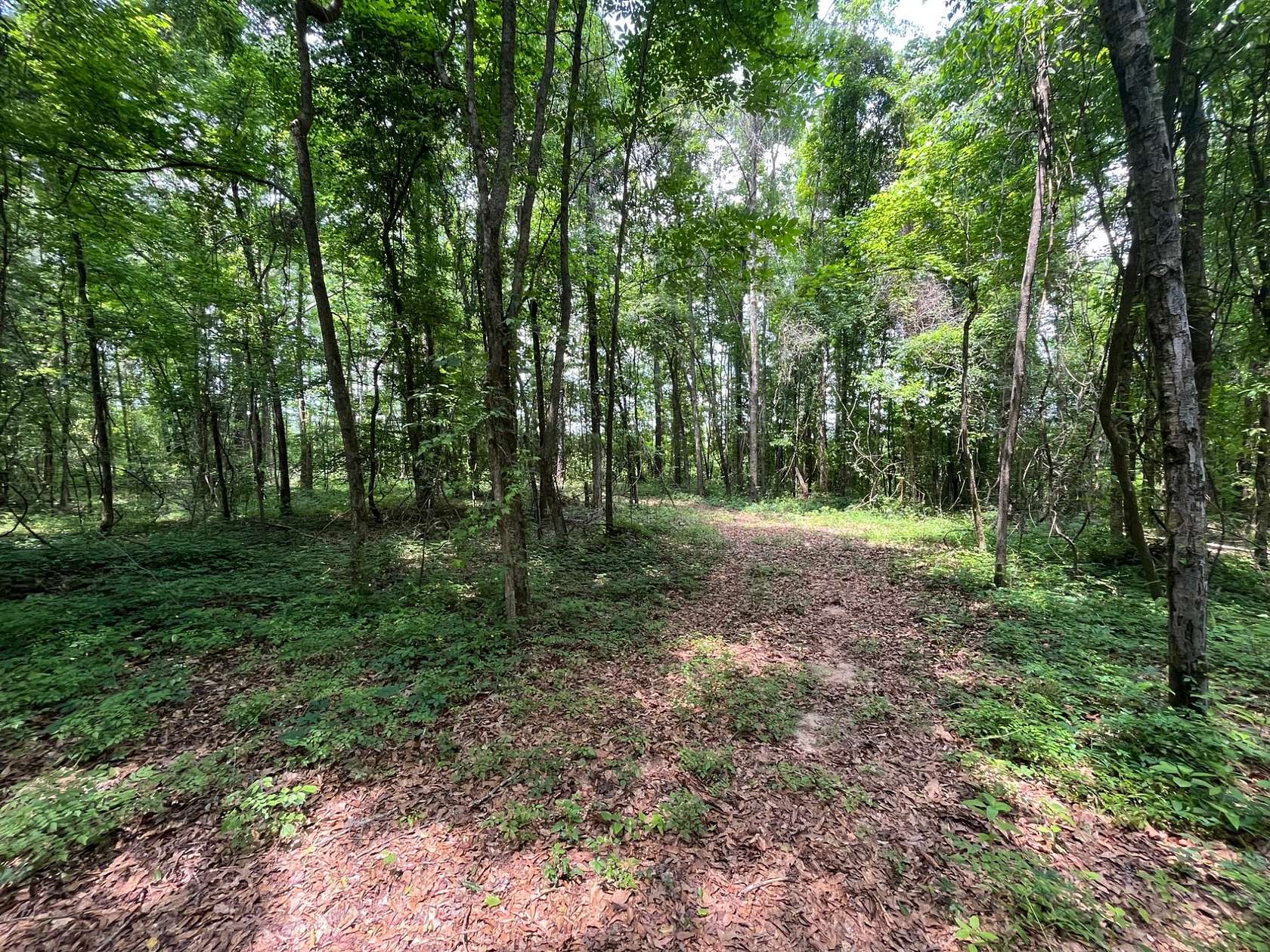 8 Acres of Residential Land for Sale in Greenville, Alabama