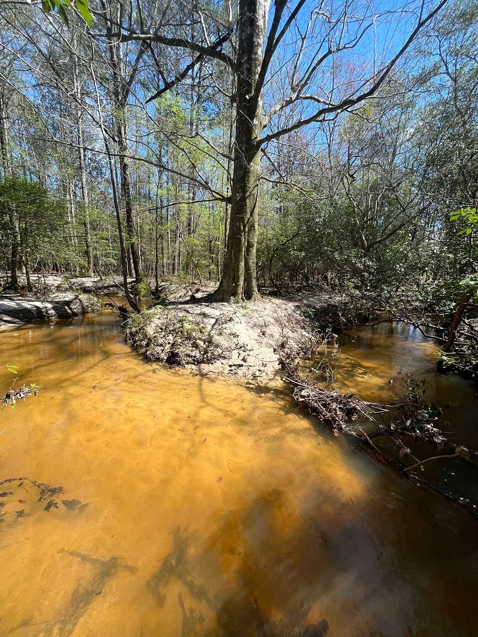 76 Acres of Recreational Land for Sale in Monroeville, Alabama