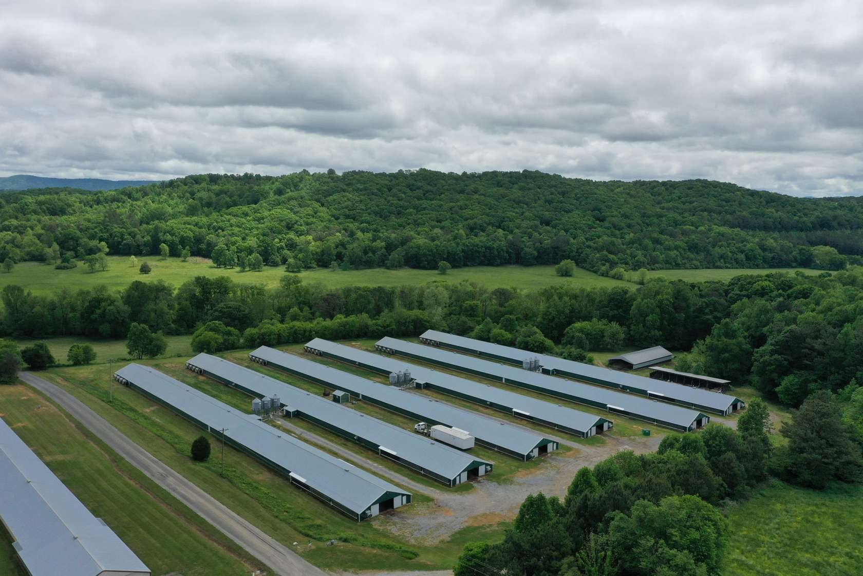 20 Acres of Agricultural Land for Sale in LaFayette, Georgia