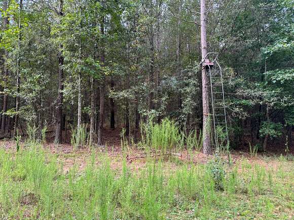 83 Acres of Recreational Land for Sale in Jefferson, Georgia