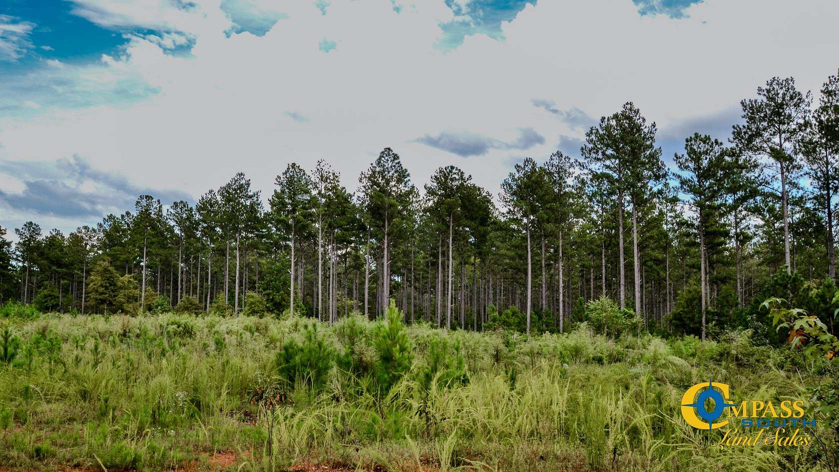 157 Acres of Recreational Land for Sale in Gaffney, South Carolina