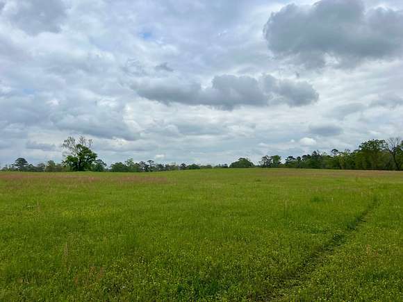 54 Acres of Agricultural Land for Sale in Glenwood, Alabama