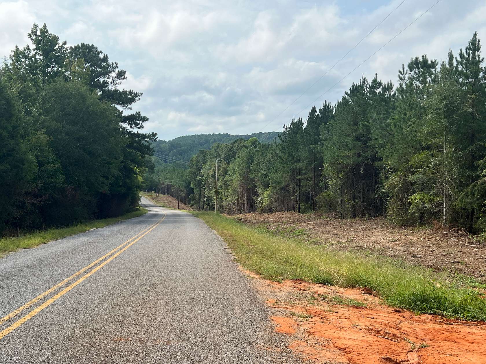 12 Acres of Land for Sale in Skipperville, Alabama