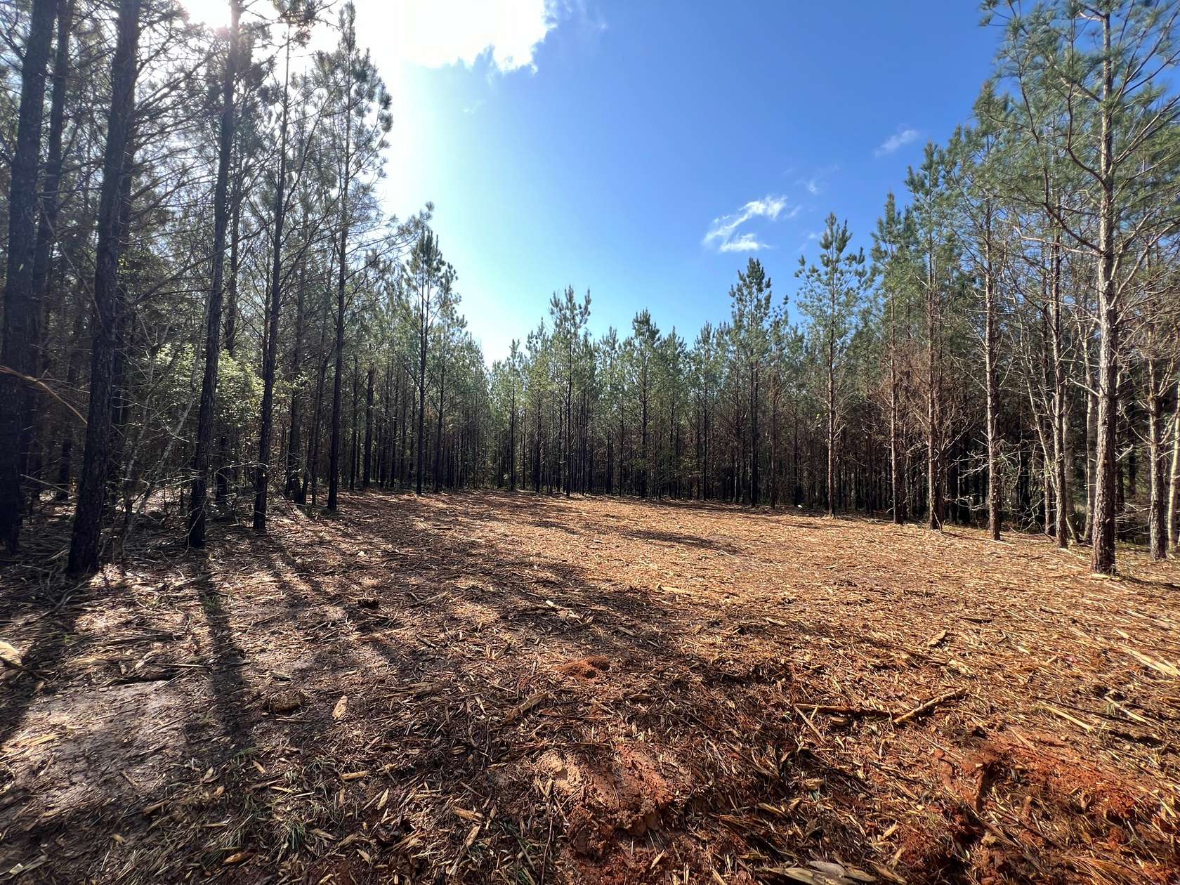 28 Acres of Recreational Land for Sale in Skipperville, Alabama