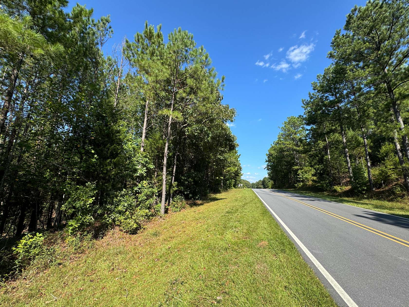 19.47 Acres of Land for Sale in Dadeville, Alabama