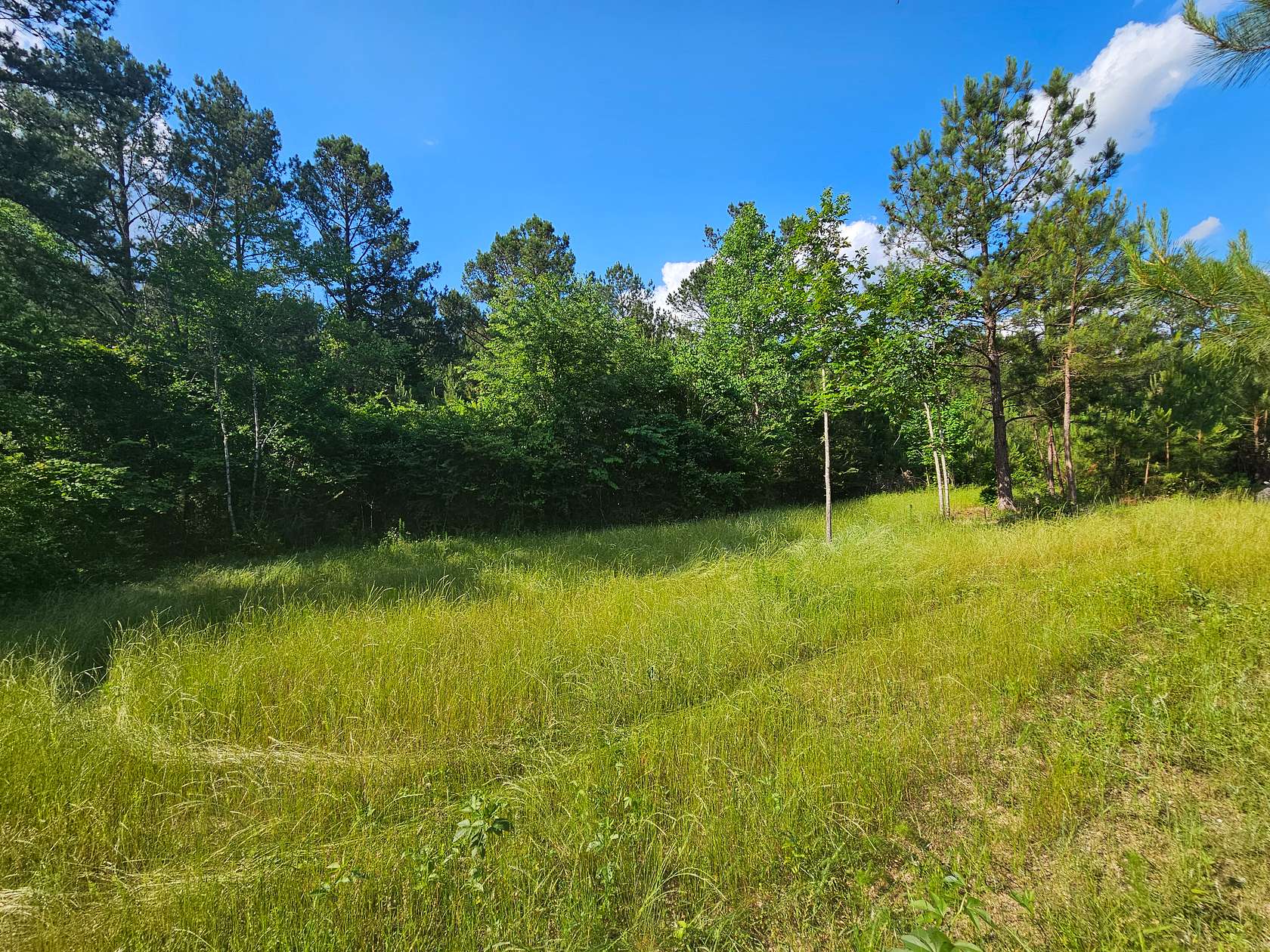 160 Acres of Recreational Land for Sale in Piedmont, Alabama