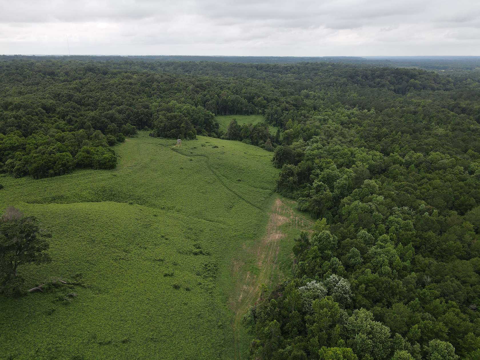 130 Acres of Recreational Land for Sale in Newton, Alabama - LandSearch