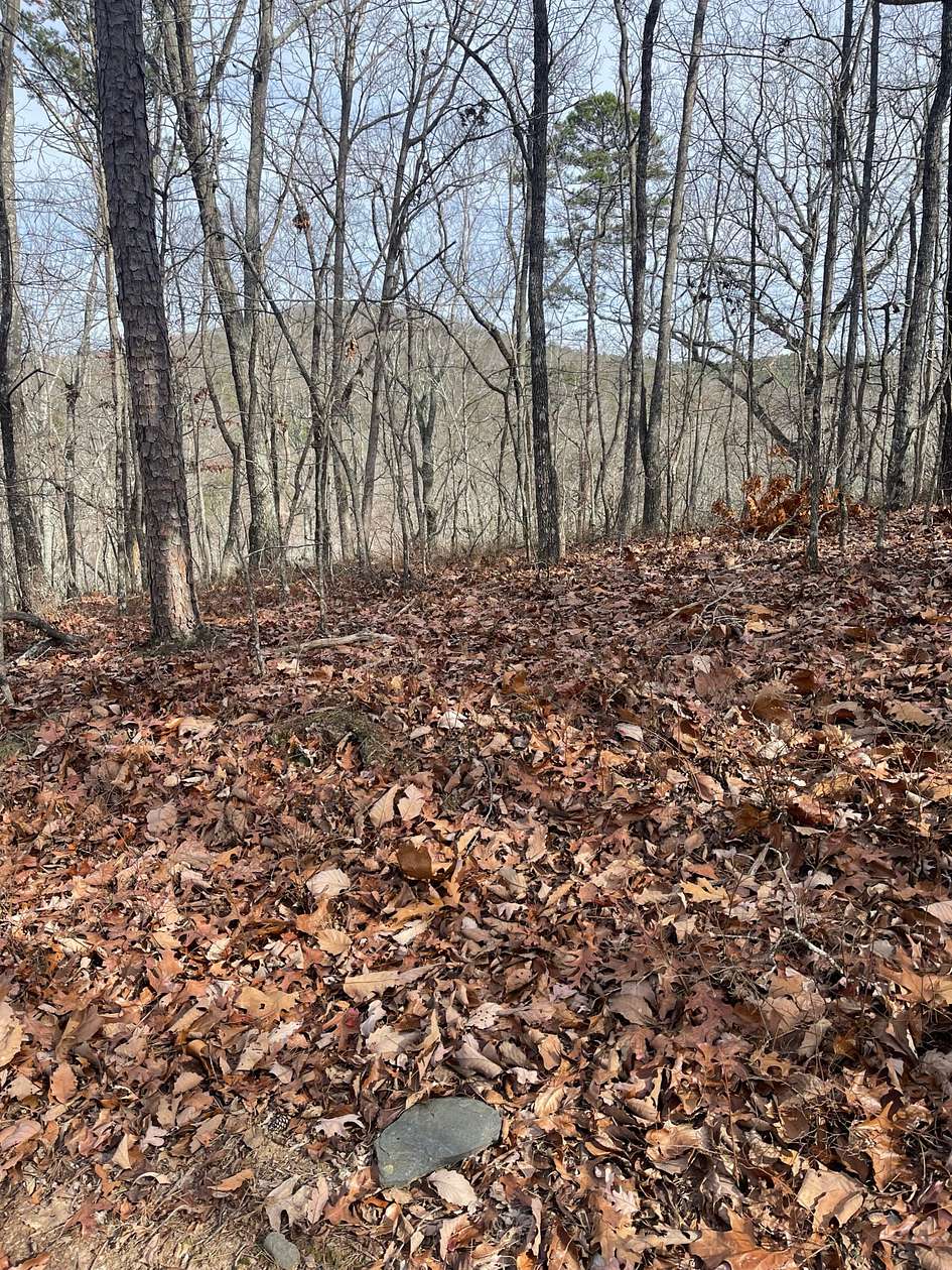 172 Acres of Recreational Land for Sale in Heflin, Alabama