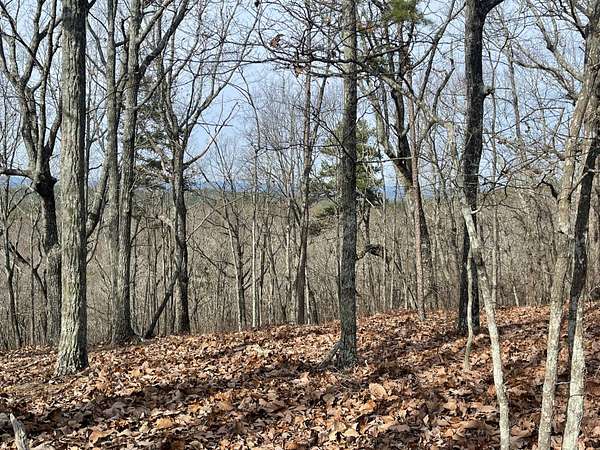 172 Acres of Recreational Land for Sale in Heflin, Alabama