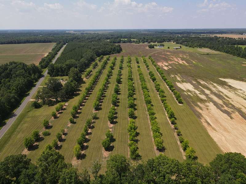 85.87 Acres of Land with Home for Sale in Dawson, Georgia