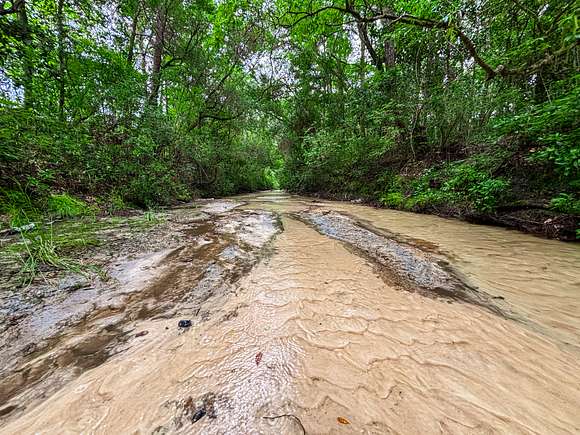 806.03 Acres of Recreational Land & Farm for Sale in DeFuniak Springs, Florida