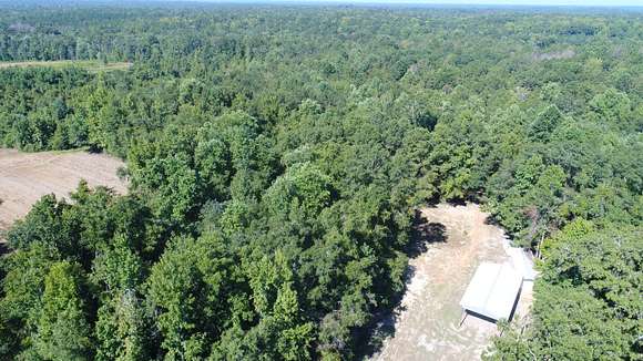 13 Acres of Recreational Land & Farm for Sale in Greenville, Alabama