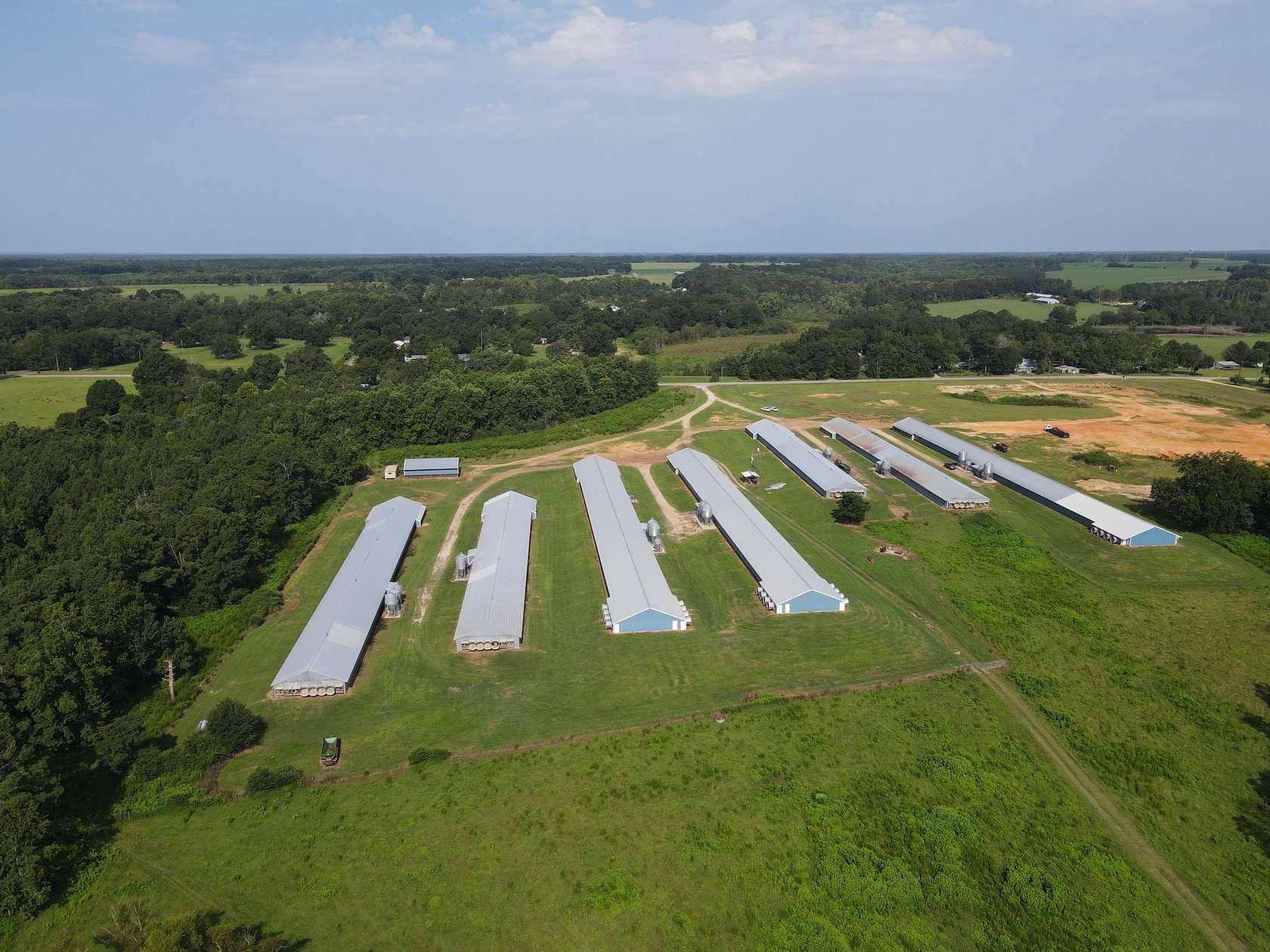 25 Acres of Agricultural Land for Sale in Geneva, Alabama