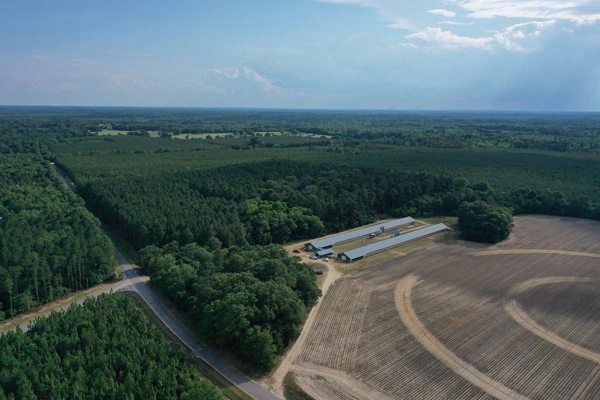 11 Acres of Agricultural Land for Sale in Williston, South Carolina