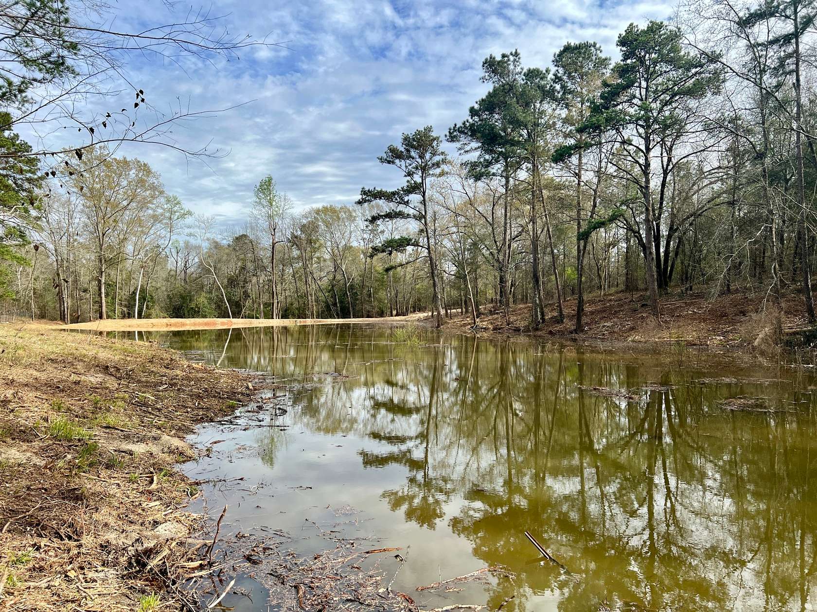 60 Acres of Land for Sale in Troy, Alabama