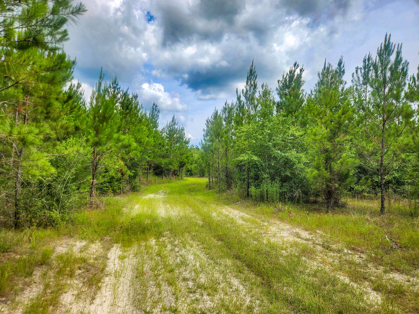 60.16 Acres of Recreational Land & Farm for Sale in Bonifay, Florida