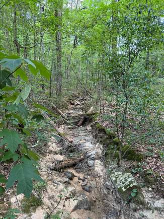 60 Acres of Recreational Land for Sale in Guntersville, Alabama