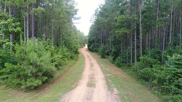 700 Acres of Recreational Land with Home for Sale in Greenville, Alabama