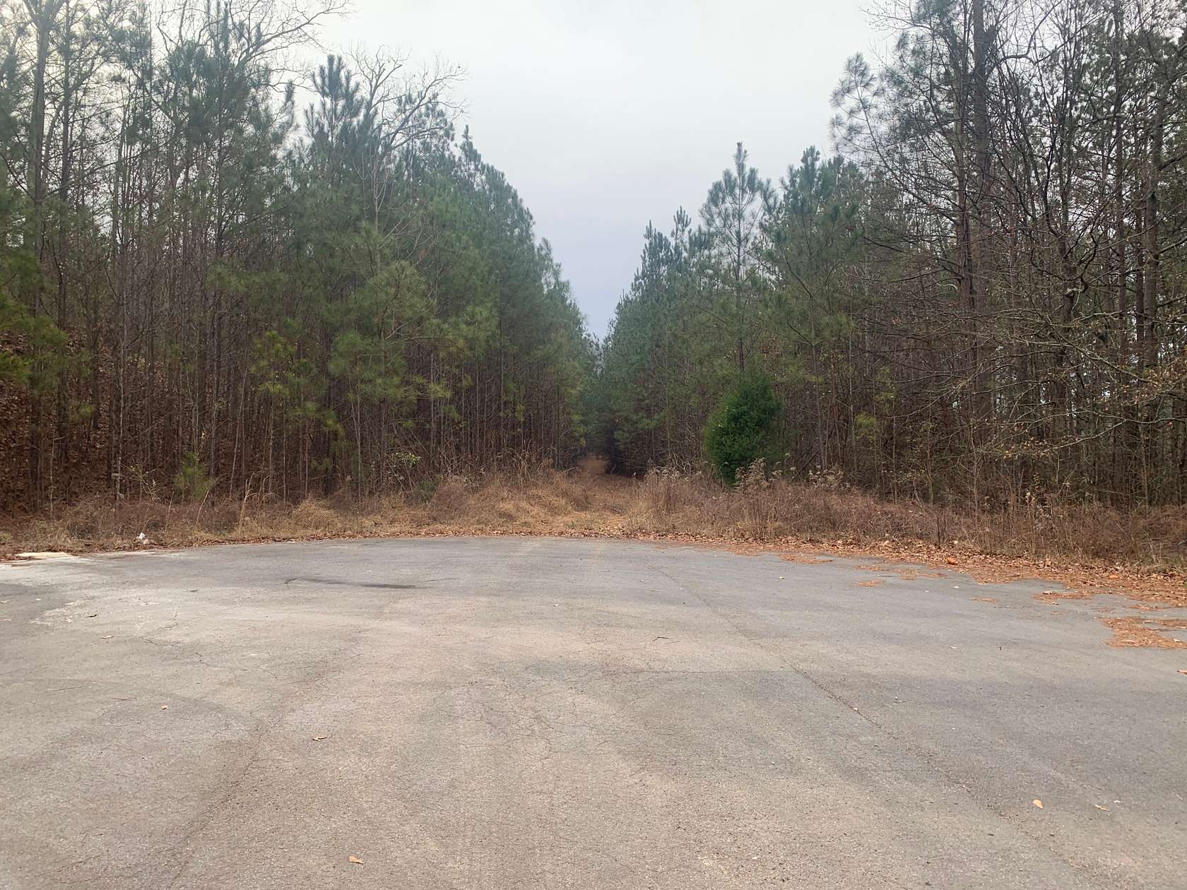 47 Acres of Land for Sale in Rome, Georgia