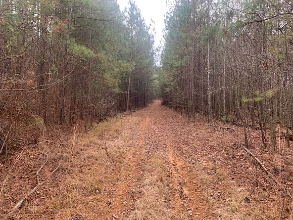 47 Acres of Land for Sale in Rome, Georgia