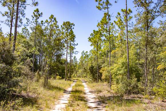 23.01 Acres of Land for Sale in Telogia, Florida