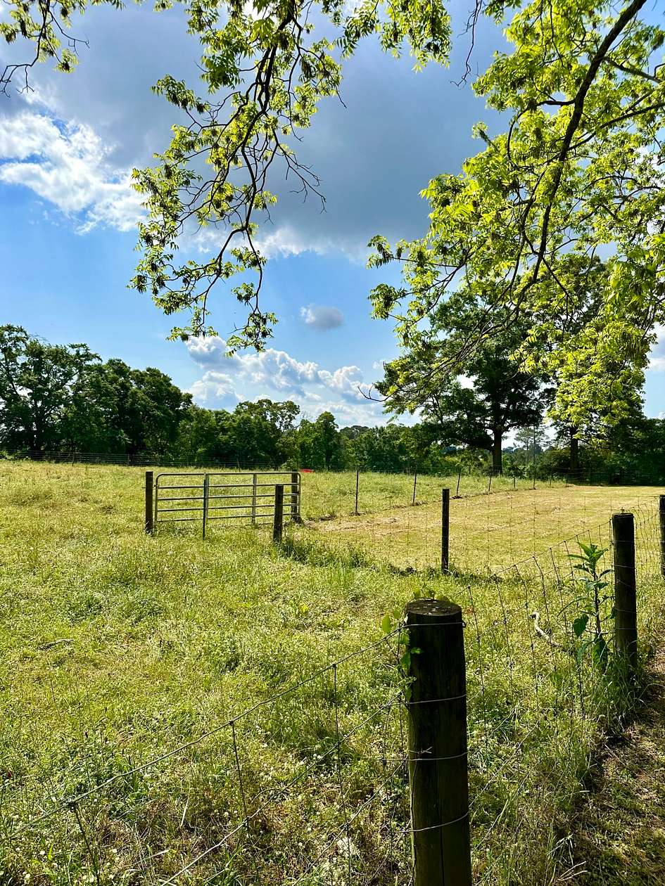 54 Acres of Agricultural Land for Sale in Elba, Alabama