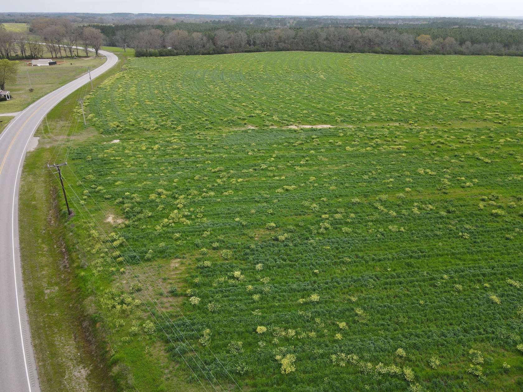 77 Acres of Land for Sale in Elba, Alabama