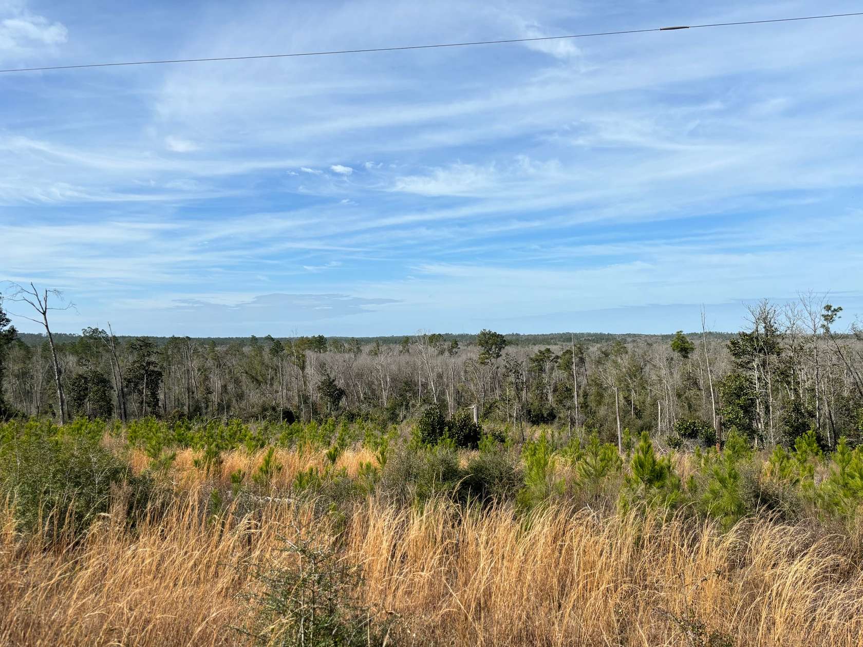 10.6 Acres of Land for Sale in Alford, Florida