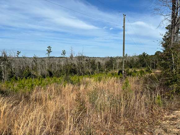 10.6 Acres of Land for Sale in Alford, Florida - LandSearch