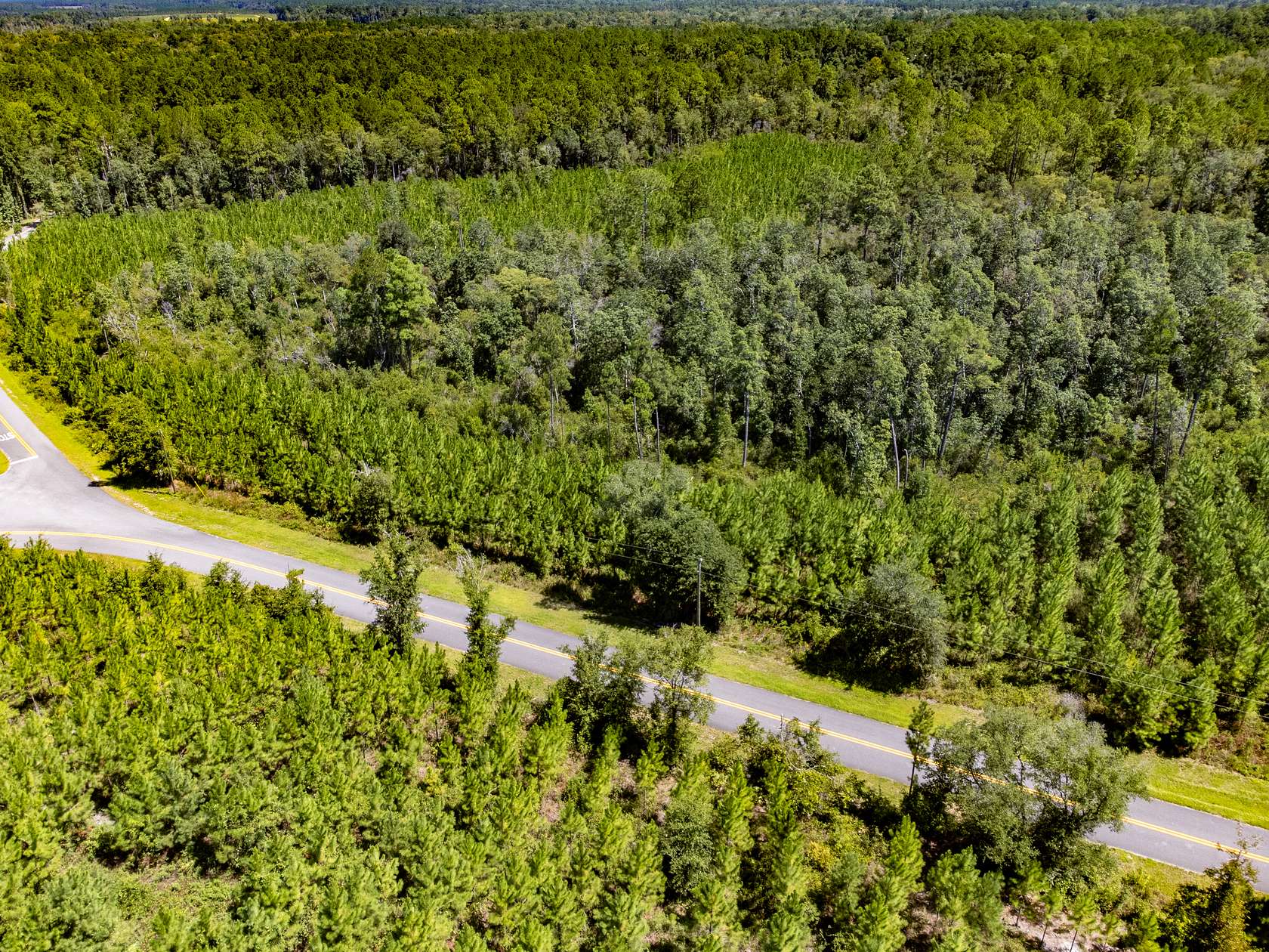 20.53 Acres of Land for Sale in Hosford, Florida